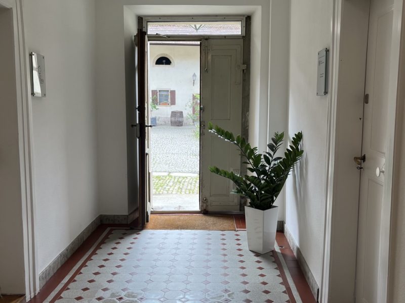 Ein heller Flur mit einem offenen Eingangstür, die zu einem Innenhof führt. Auf dem Boden sind hexagonale Fliesen in rot und weiß. Eine große Pflanze steht in einem weißen Topf auf dem Boden.